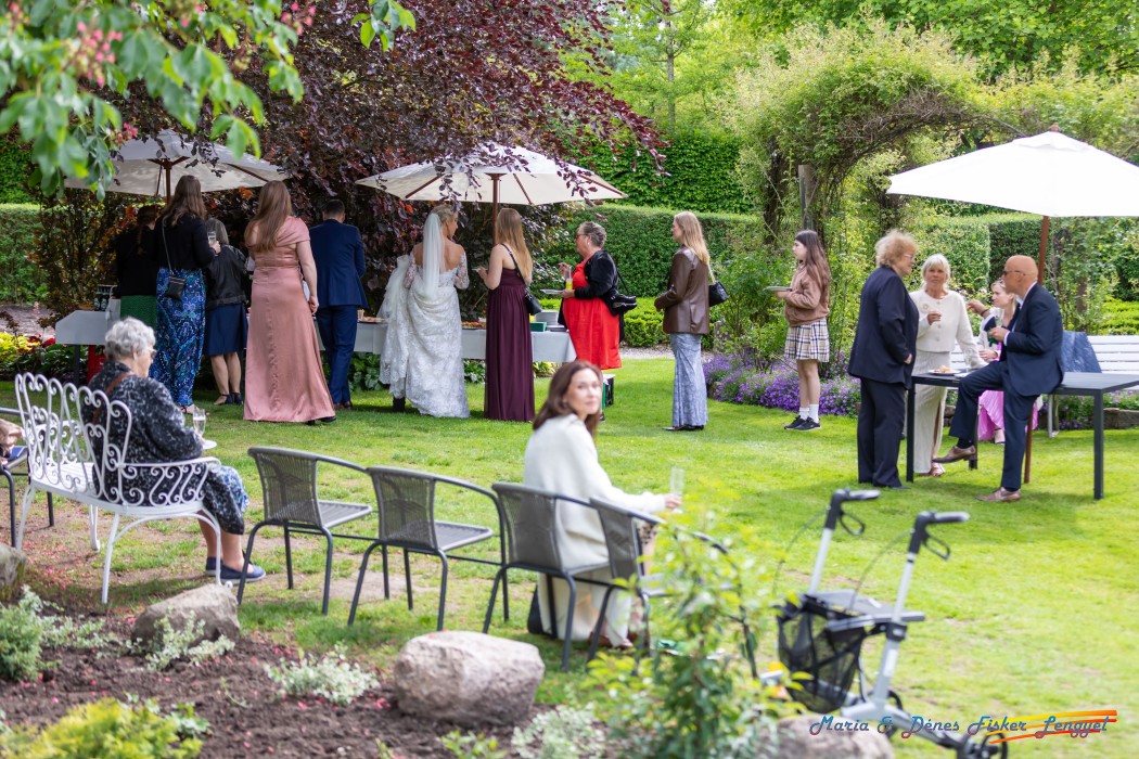 reception maria denes