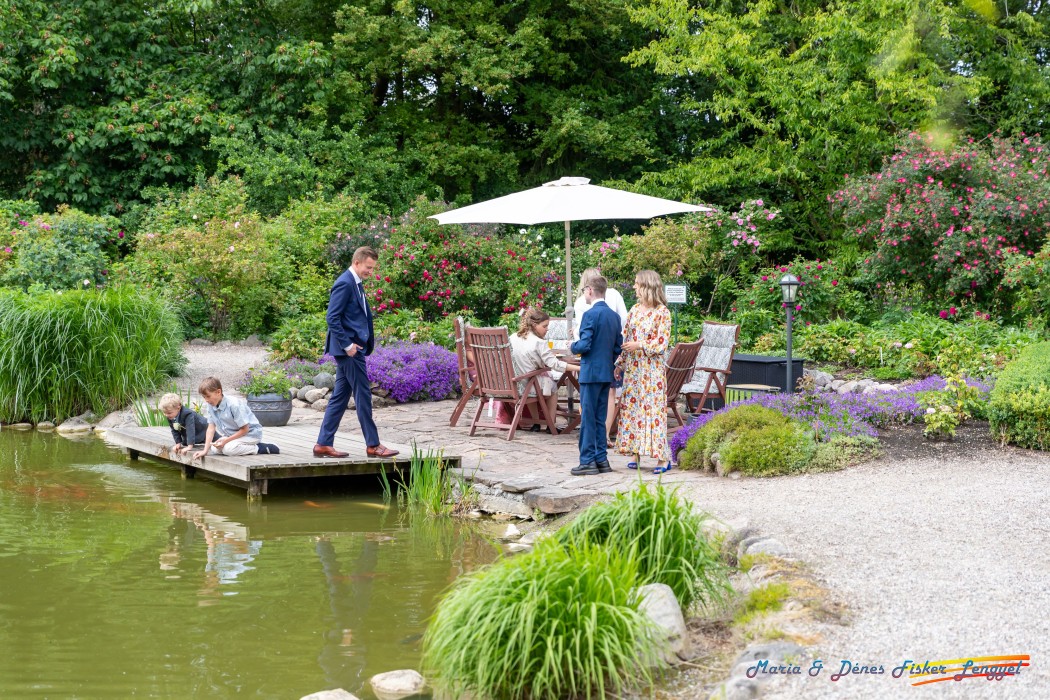 reception maria denes